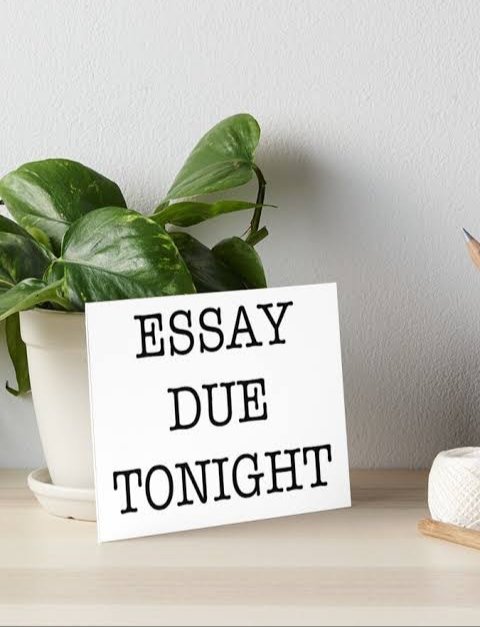 Essaylee1's tweet image. You need good grades and timely delivery! Reach out anytime 
#Essays #Assignments #homework #MATHS #quizzes #exams #ONLINE CLASSES  #research papers.