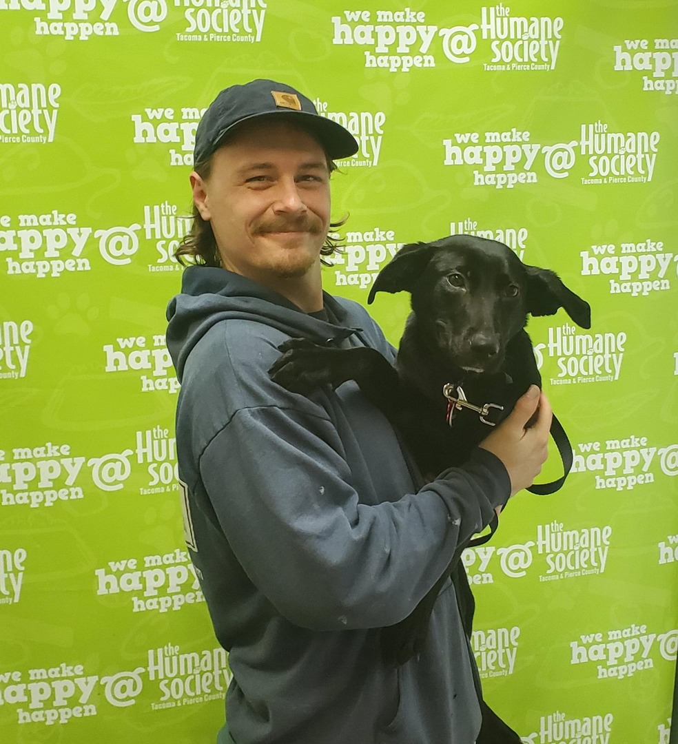 The Humane Society for Tacoma & Pierce County tweet media