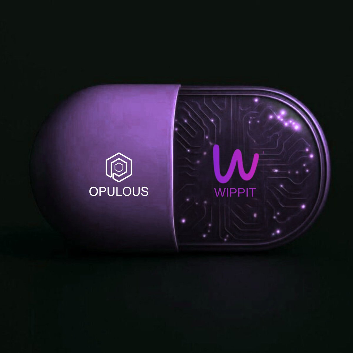 Everyone’s building AIs that make music.

<a href="/opulousapp/">Opulous</a> is building the AI that amplifies musicians' voices.

#Wippit sounds like an artist's AI manager, helping artists get heard.

V1 on the horizon....

$OPUL #AI