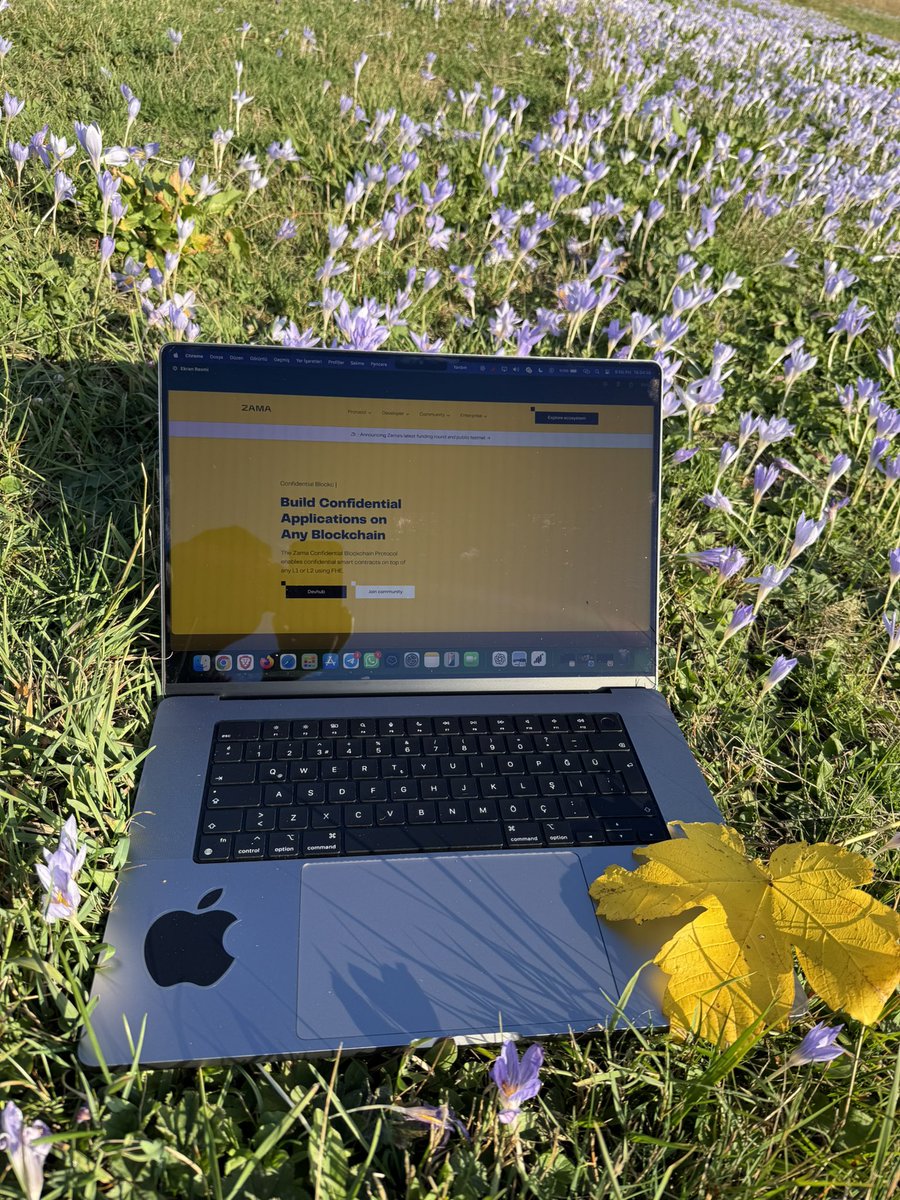 accesflow's tweet image. As Zama mainnet approaches, the Zama-yellow autumn is coming…🍁touch the grass🌿
@zama_fhe mainnet yaklaşıyorken, zama sarısı sonbahar da yaklaşıyor…🍁
Biraz çimlere dokun🌿
#ZamaCreatorProgram