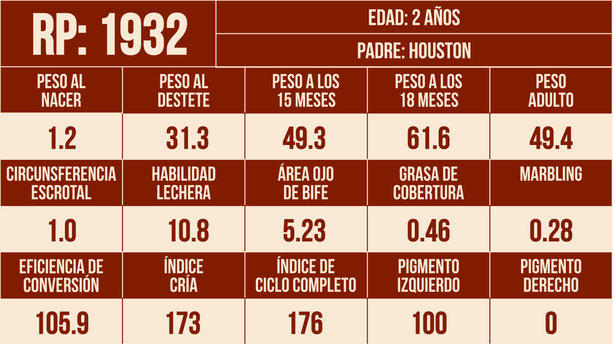 Don Jacinto Hereford tweet media