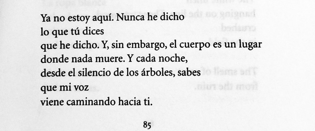 Ismaellg90's tweet photo. Leer esto de Paul Auster después de que nos dejara es desolador. https://t.co/ZemzFGW66y
