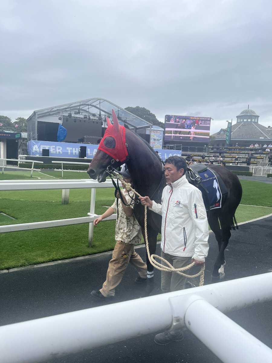 Up close and personal with Kai Ying Rising before a pre-Everest jump out at Randwick