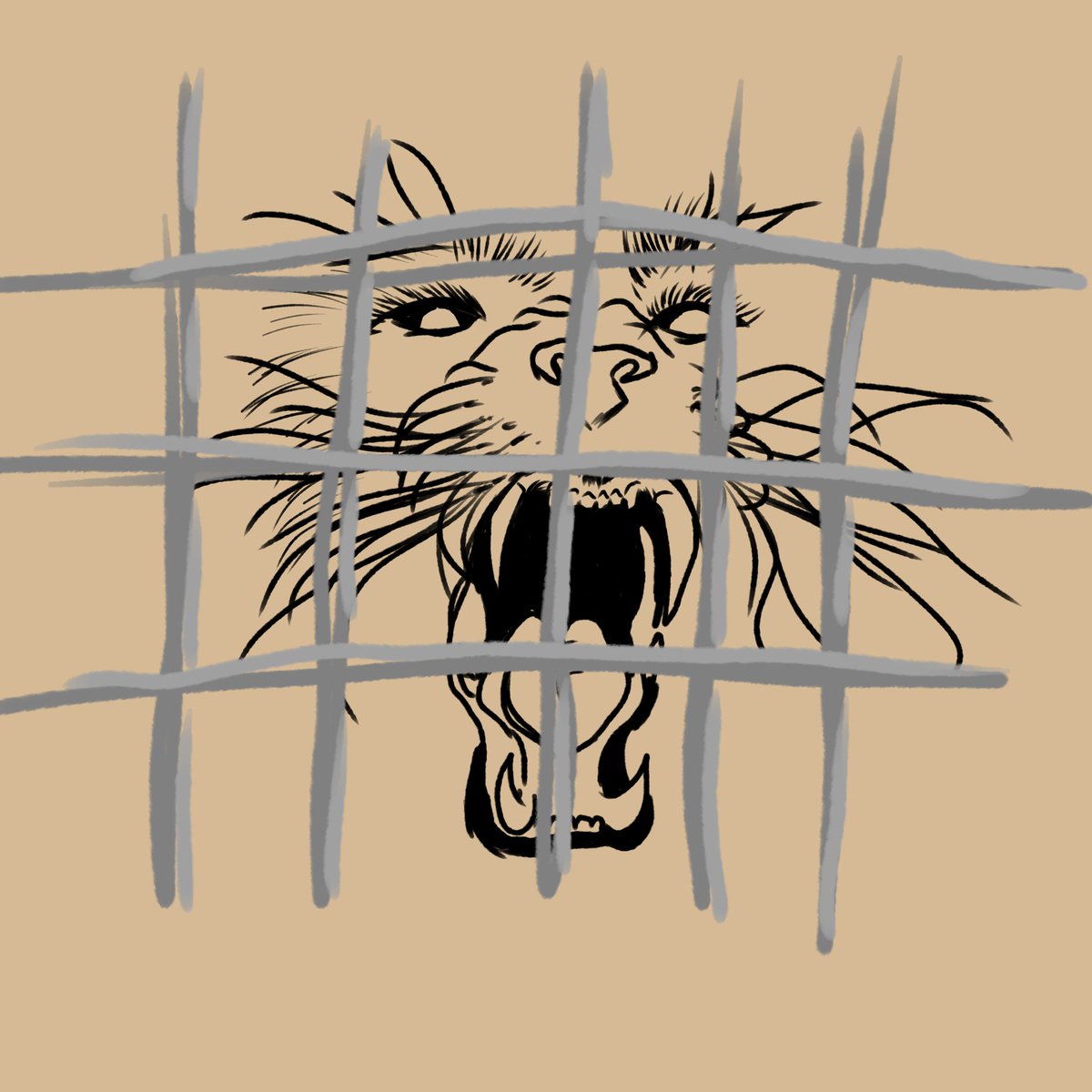 Nícolas tweet media