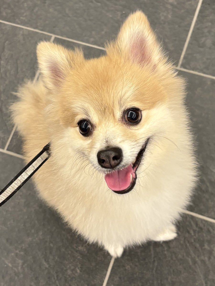 おはようございます。
今日も一日ニッコリ楽しもうね。