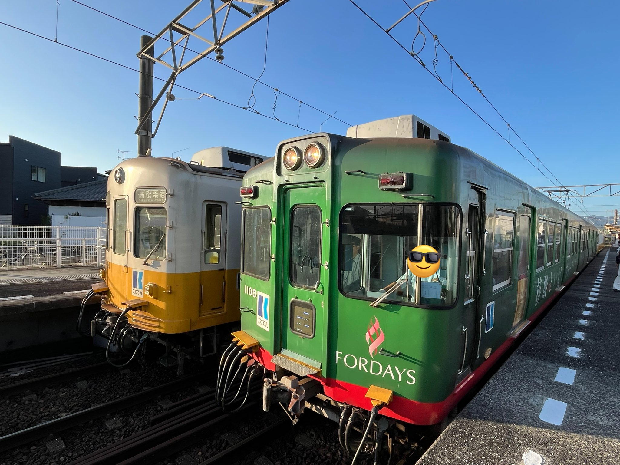 アル✨春爛漫[トイ•プードルファミリーのお花見] ◇トイプードル 女の子 #No61831 3/22生まれ レッド 生後5ヶ月半