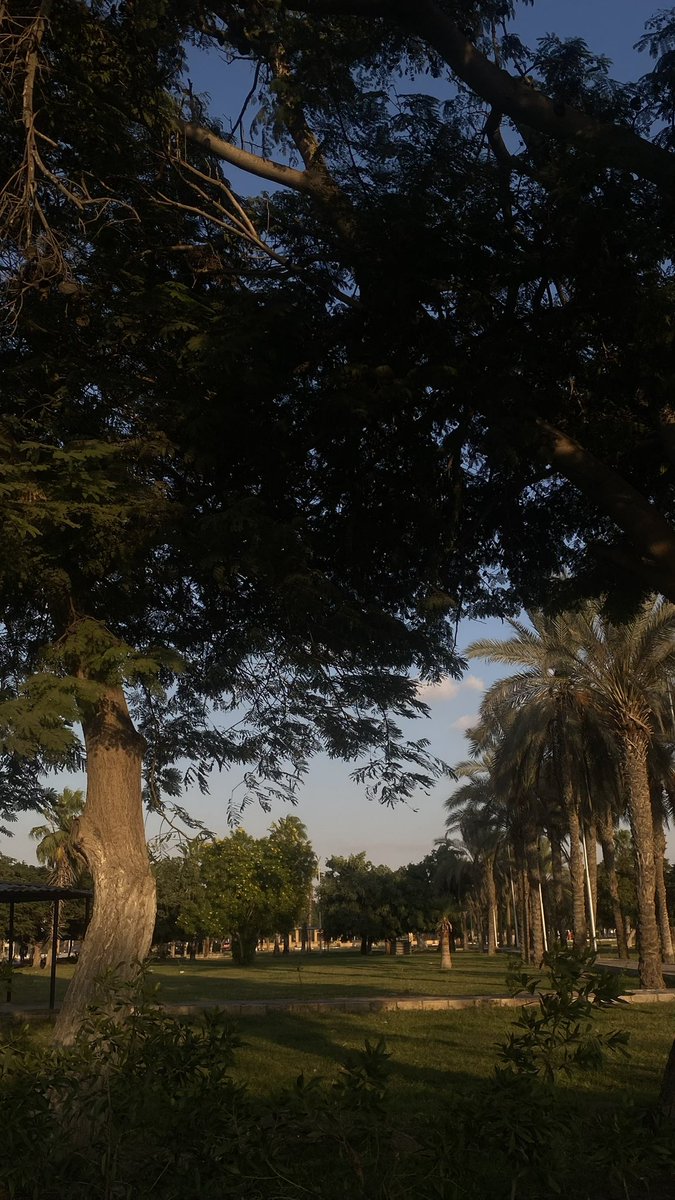 itsmanga's tweet photo. اسماعيلية💛 https://t.co/bD5R8D4W7J