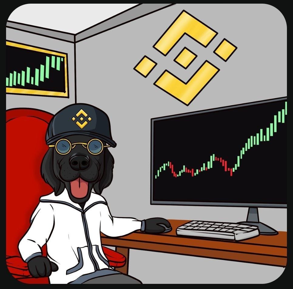 CryptoAnu_'s tweet image. @cz_binance knows the truth, #BinanceDog is the original #Broccoli 🥦🐾

👇
dex.coinmarketcap.com/token/bsc/0x1c…