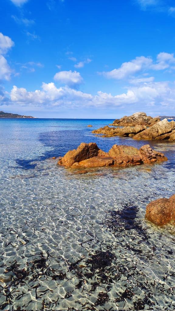 #CalaTrinita
#LaMaddalena
#Sardegna
Buon martedì a tutti.