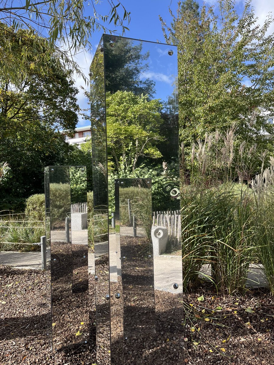 Orca 🐋 tweet media