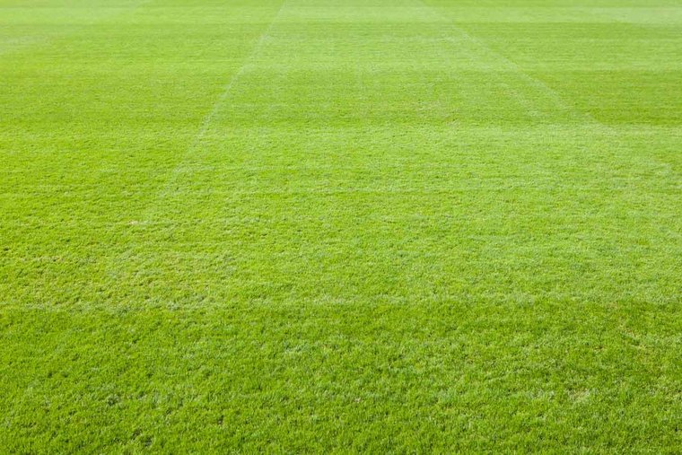 Tuesday Training Bar Nights at Spartans Clubhouse! #Pitchero
spartansrufc.co.uk/news/tuesday-t…