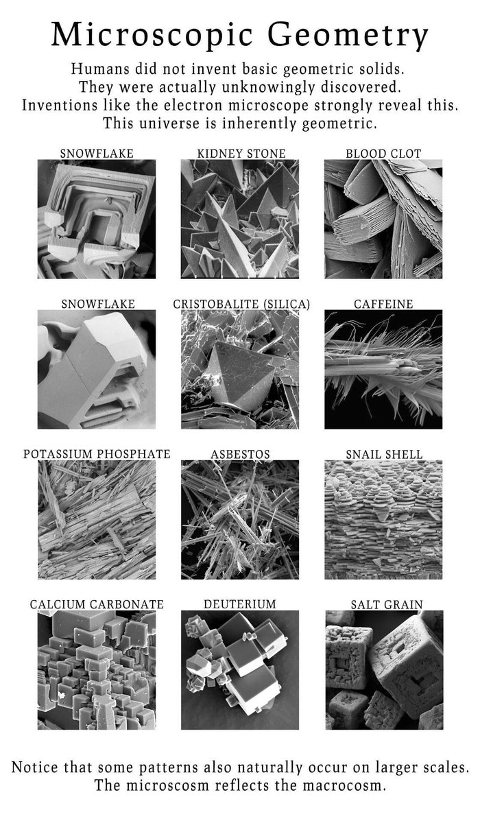Unify's tweet image. Know your microscopic geometry...

#universalgeometry #microscopic #microscopicgeometry #sacredgeometry #naturalgeometry #geometry #
