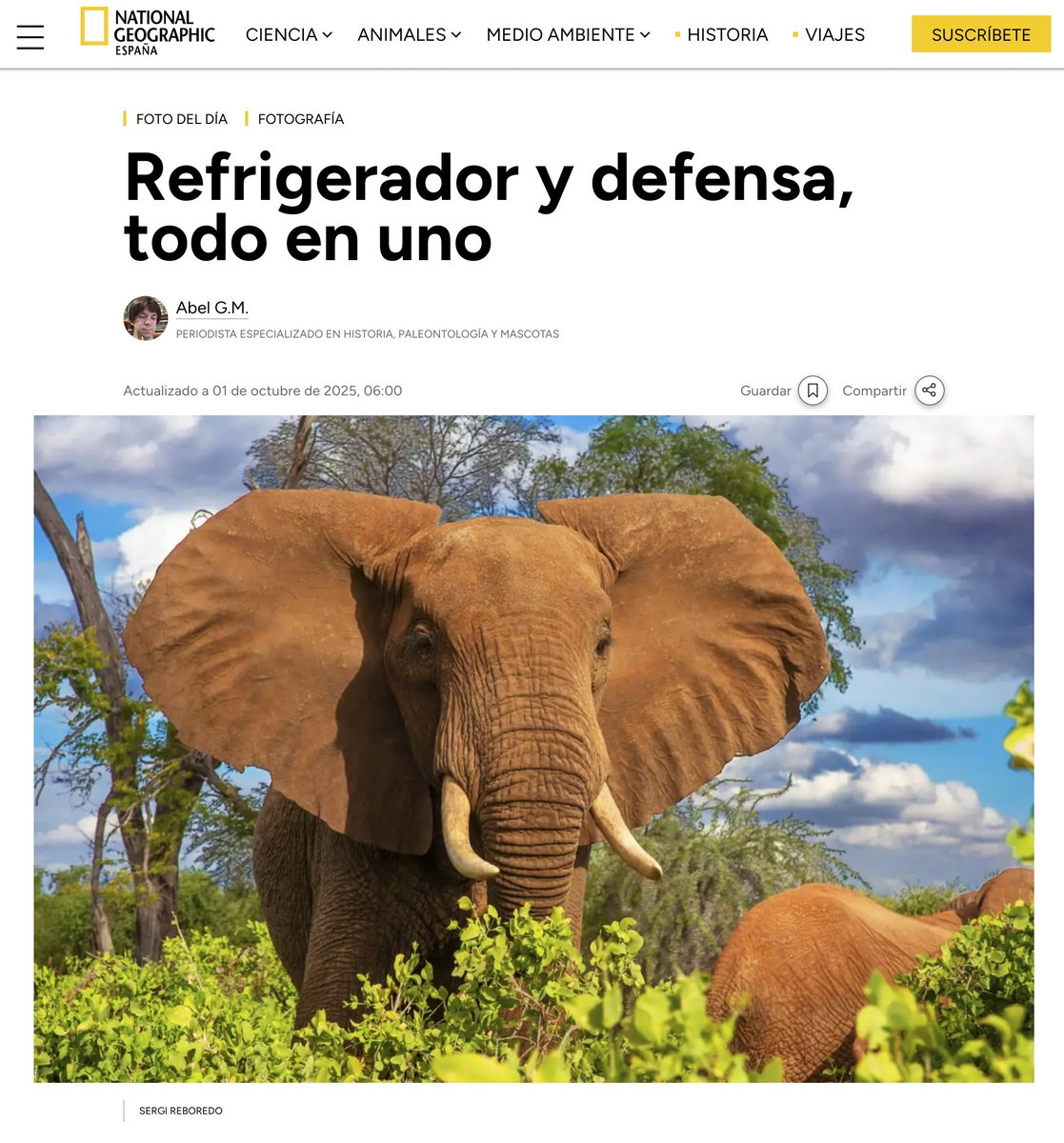 NATIONAL GEOGRAPHIC también publica algunas de mis fotografías de los elefantes africanos.