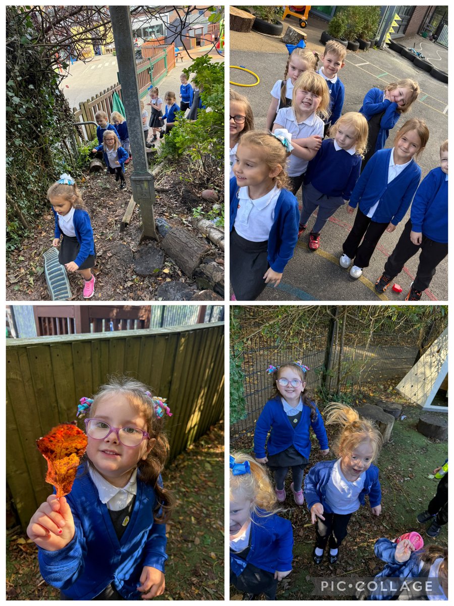 Williamstown Primary School tweet media