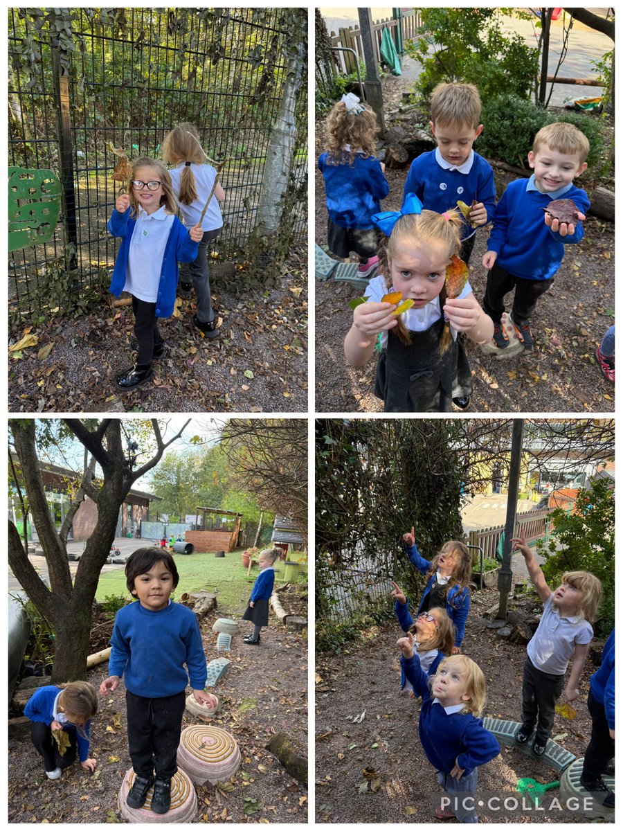 Williamstown Primary School tweet media