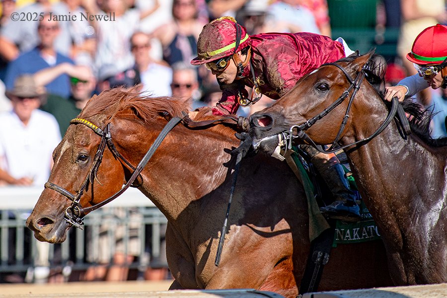 NAKATOMI, with Irad Ortiz, Jr., up, getting the bob over DURANTE, and Tyler Gaffalione, in the Grade 2 Stoll Keenon Ogden Phoenix Stakes for trainer Wesley Ward at <a href="/keenelandracing/">Keeneland Racing</a> Friday.