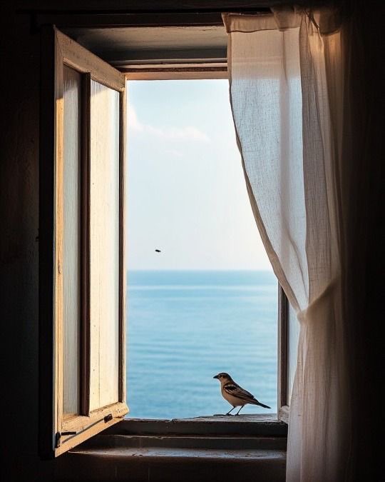 سنتعارك ولكنا سننهض من جديد .