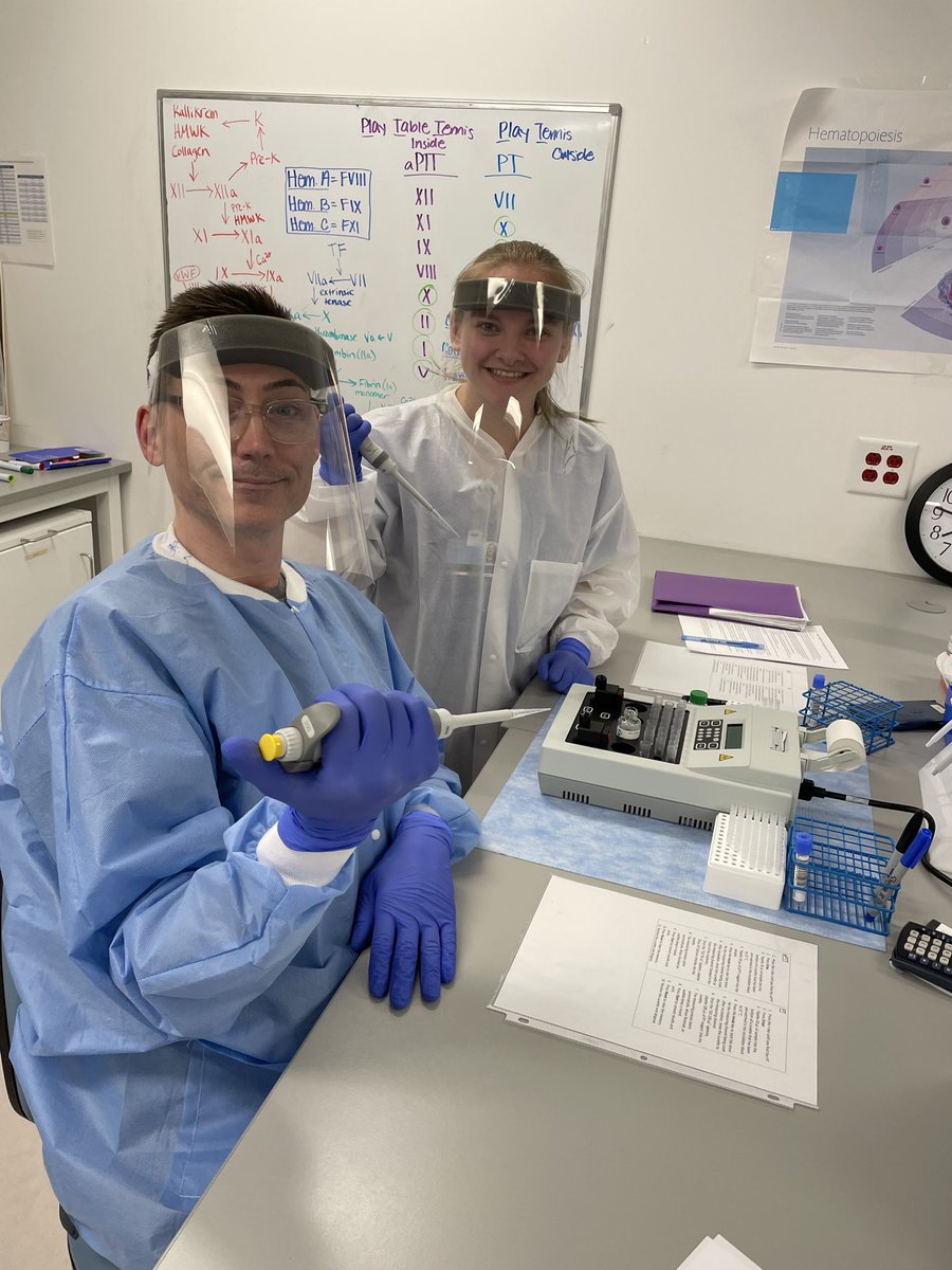 Getting close to the end of first semester didactics! The students have been in the student lab gettting hands on with PT and aPTT testing on the BFT II analyzer to explore the coag cascade and see how certain conditions and drugs can lead to prolonged clotting times