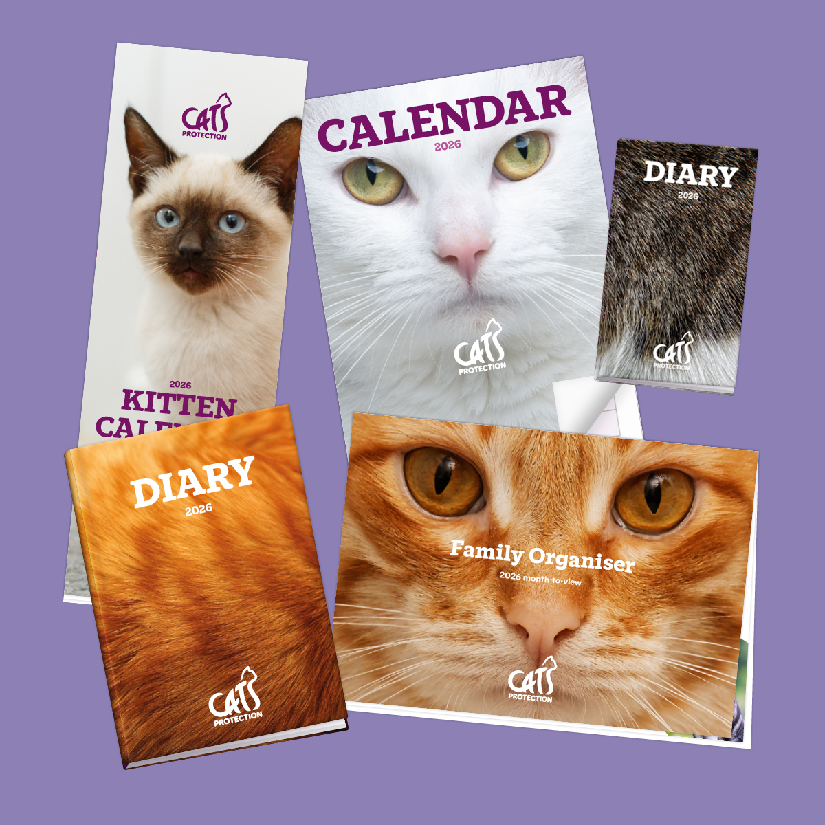 CatsProtection's tweet image. Our new Christmas cards, cat calendars and planners are now available! 
Get ahead and get them early to help keep cats purring into the festive season: spr.ly/XmasCardsAndCa… 🎄