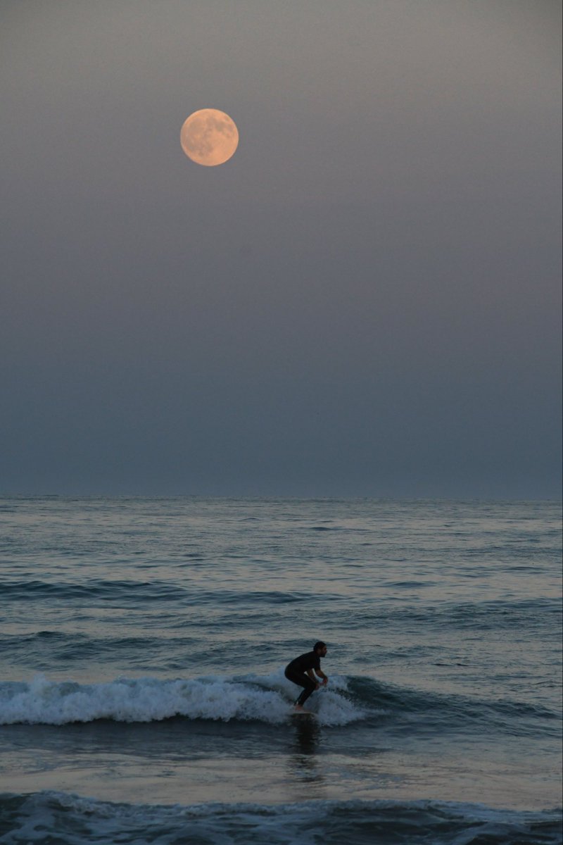 crisalmar11's tweet image. Para el #surfer de  hoy en #portsaplaya en #valencia con la #luna 😉