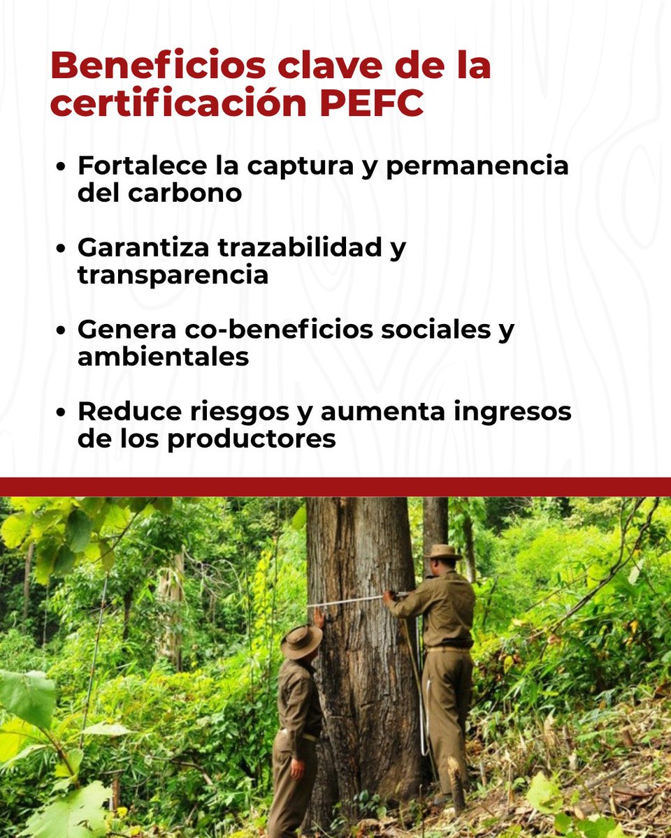 ASORA Madera y Tecnología tweet media