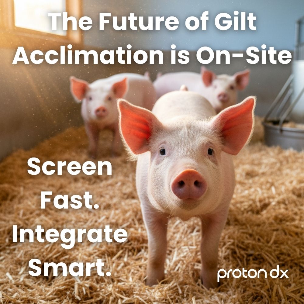 NateDXpert tweet media