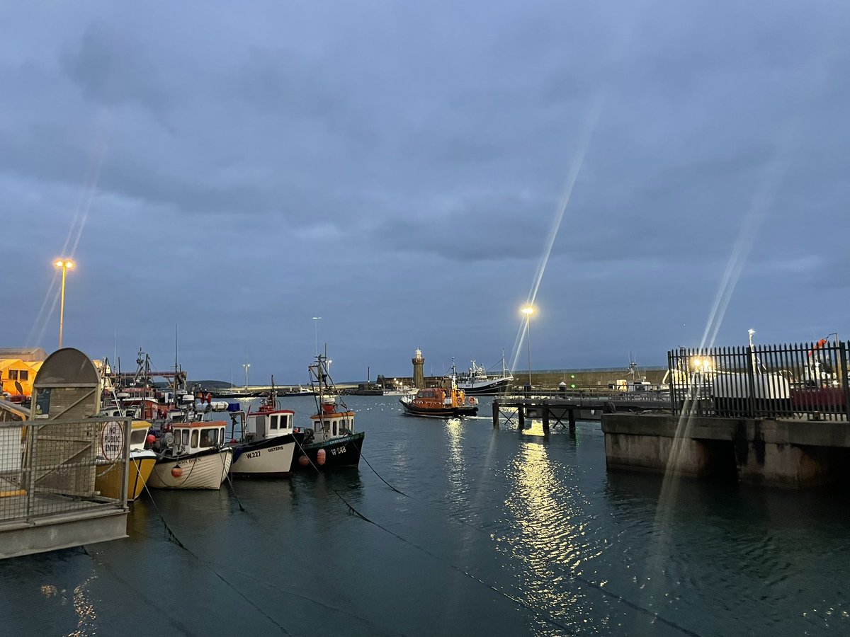 Mailo Power tweet media