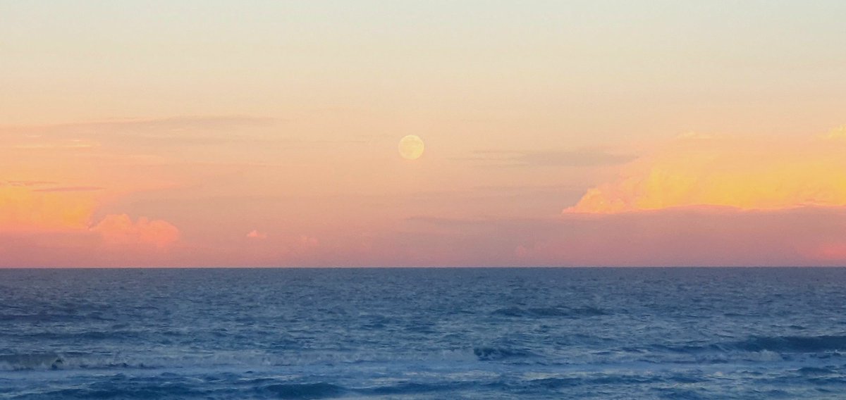 Come un acquerello di #Folon
#myshot📸