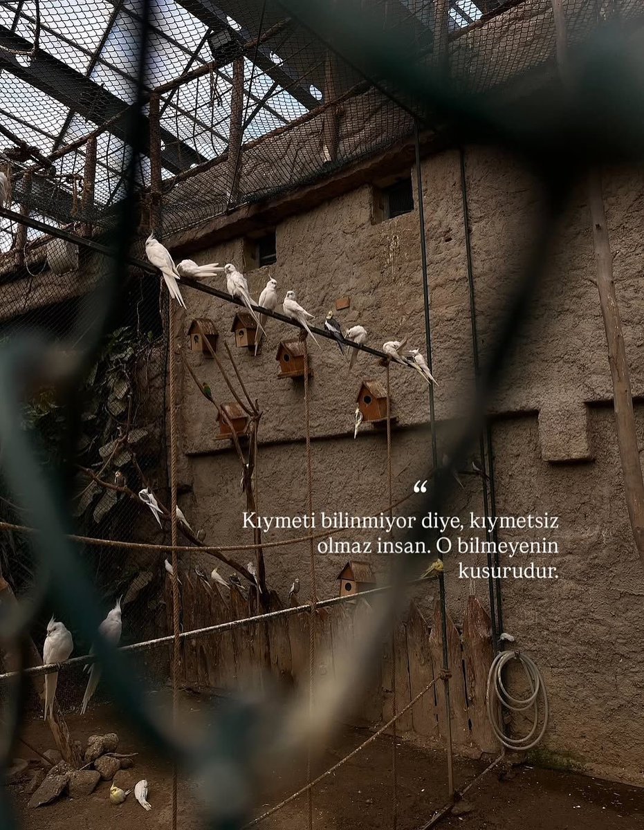 haklı (@asirihaklii) on Twitter photo 