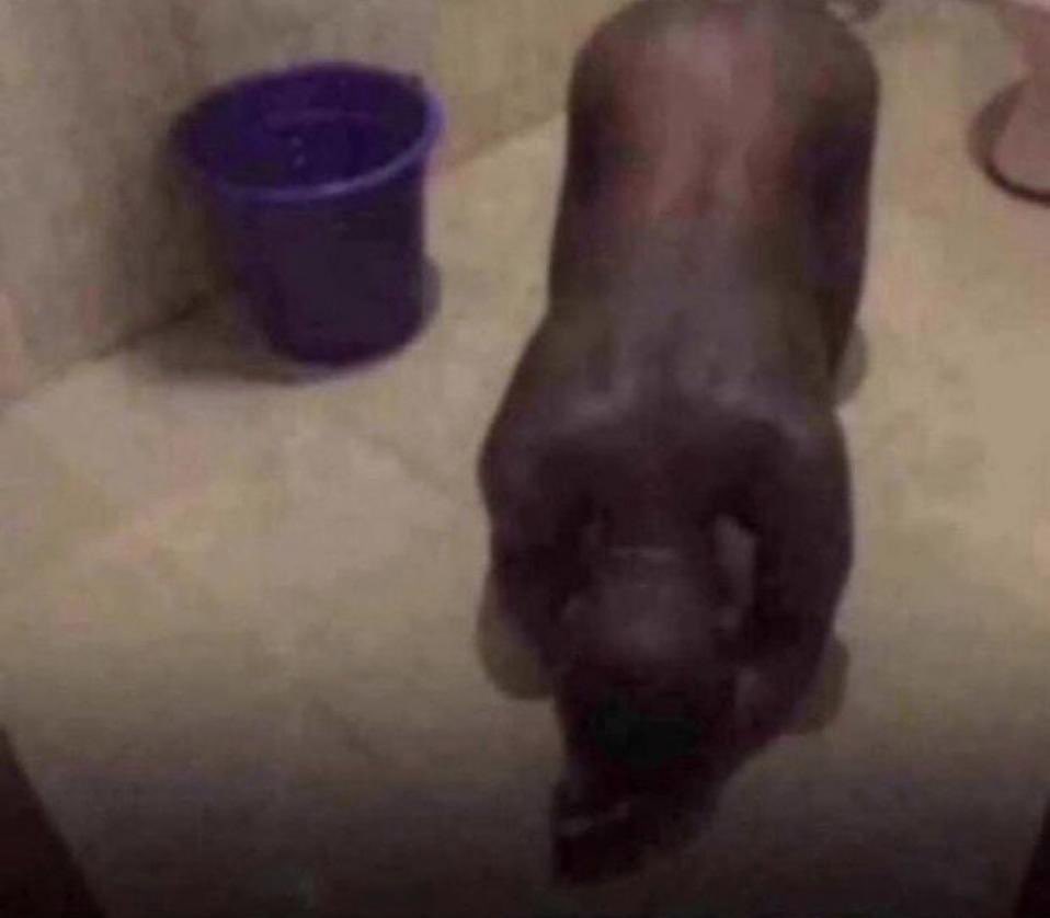 he hol’ am for skirt 😭