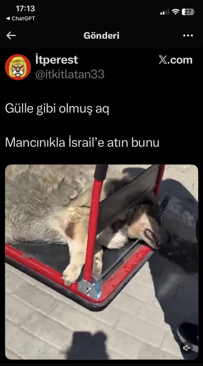 Hakaret ve kışkırtma zinciri, gençleri suça iten bir süreçtir. Bu hesapların kapatılması ve kişiye yasal yaptırım şarttır.
#GökberkAkbulutTutuklansın 📌 <a href="/EmniyetGM/">Türk Polis Teşkilatı</a> @AdaletBakanlik <a href="/TC_icisleri/">T.C. İçişleri Bakanlığı</a>