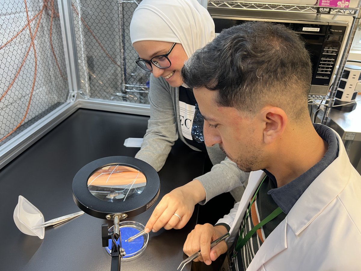 The <a href="/AtlBotanical/">Atlanta Botanical Garden</a> welcomed Dr. Francisco Sánchez Parrales from <a href="/JB_PJM/">Jardín Botánico Padre Julio Marrero</a> last week to discuss ongoing work in Magnolia conservation in Ecuador. Francisco also spent time learning with Atlanta's seed bank team.