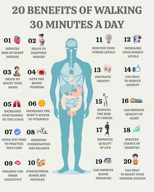 20 Minute Daily Walk: ₹10 Lakh Home Gym से भी ज्यादा फायदेमंद, जाने क्या कहते हैं Cardiologist