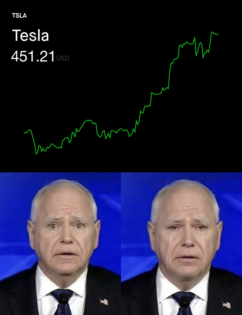 BREAKING: Tesla stock is up 100% since Tim Walz celebrated the stock’s decline.