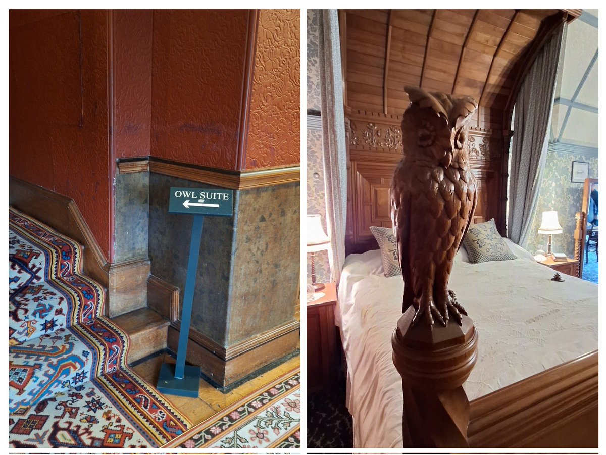 helendrinkstea's tweet image. Thrilled to learn there is an Owl Suite at Cragside!!! ☺️🦉 #RubbishBirdPics #SmallBeautiesHour #BecauseofClem #ThreadofGold