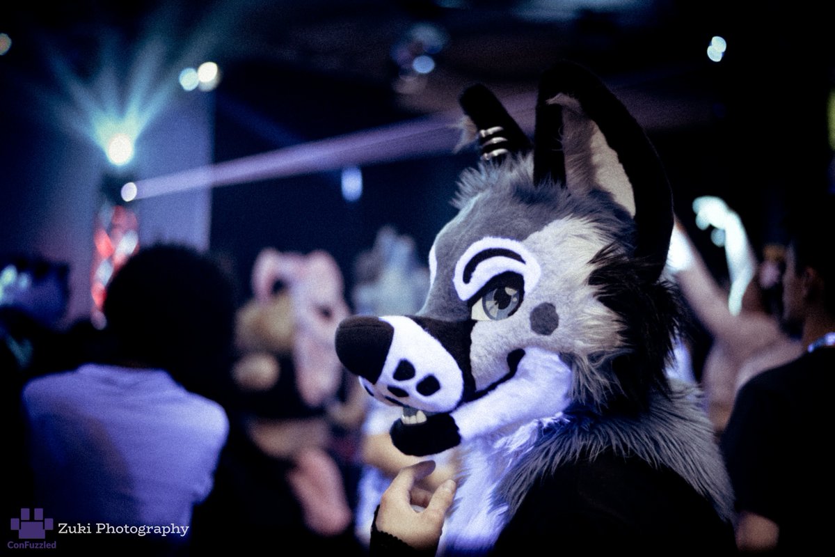 The photographs taken by me and the other wonderful Photography team at Confuzzled 2025 have now been made public!

photos.confuzzled.org.uk/confuzzled-2025

Go ahead and take a look, and tell me which ones are your favourites!