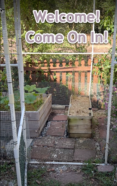 The Suburban Raised Bed Garden Oasis - Oct 2025 youtu.be/_g5CaDC5jMk?si… via <a href="/YouTube/">YouTube</a>