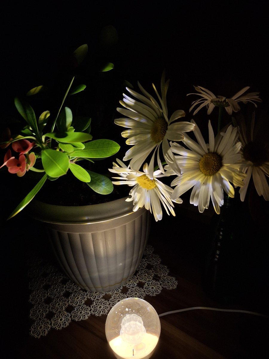 "Kendi halim diye bir yer var,
Çoğu zaman oradayım.."🫠