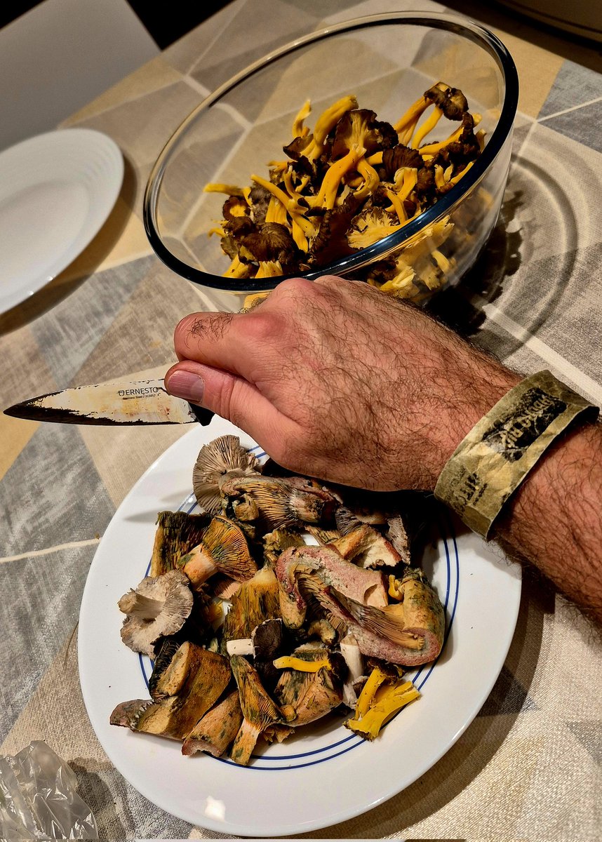 Fusió de les meves 2 passions: Bitcoin i bolets!