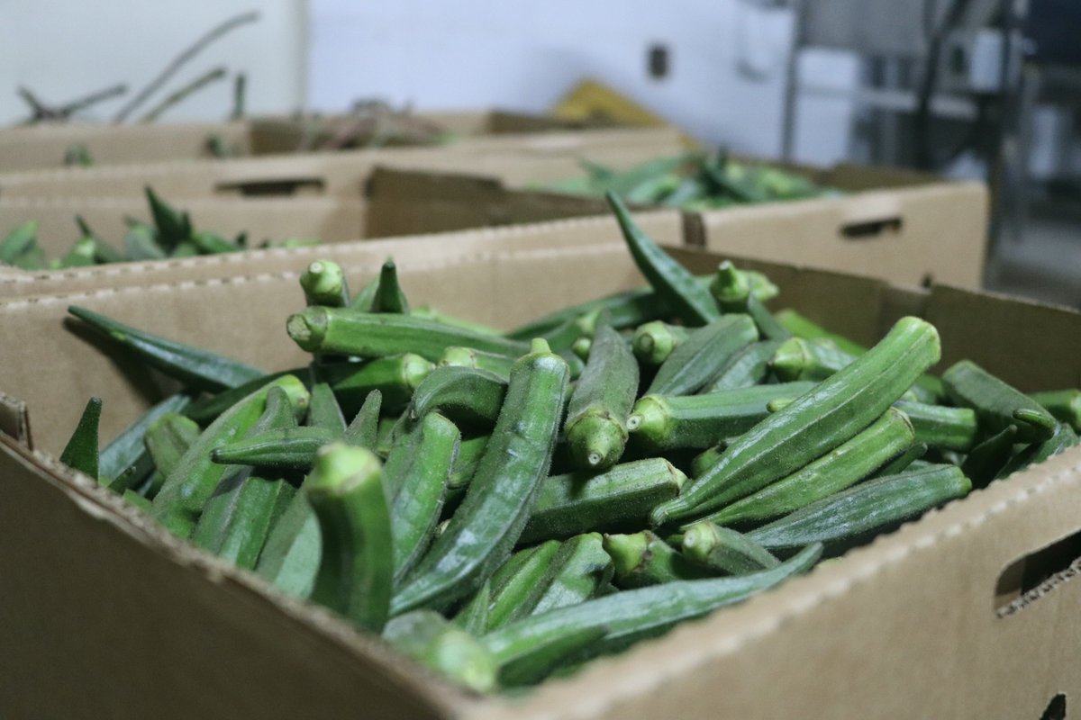 grace_mutanga's tweet photo. Thanks Norway Oslo for receiving our natural foods at mkulima exports Uganda ltd we offer the best quality .glory to God https://t.co/1fmUYznBh5