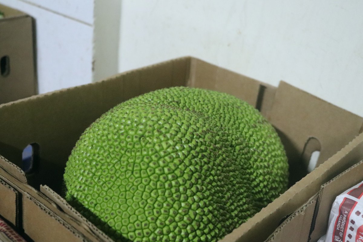 grace_mutanga's tweet photo. Thanks Norway Oslo for receiving our natural foods at mkulima exports Uganda ltd we offer the best quality .glory to God https://t.co/1fmUYznBh5