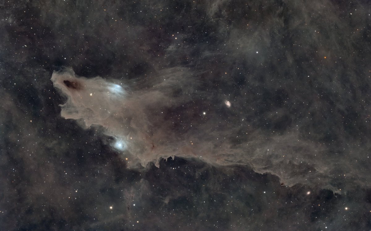 James Clark tweet media