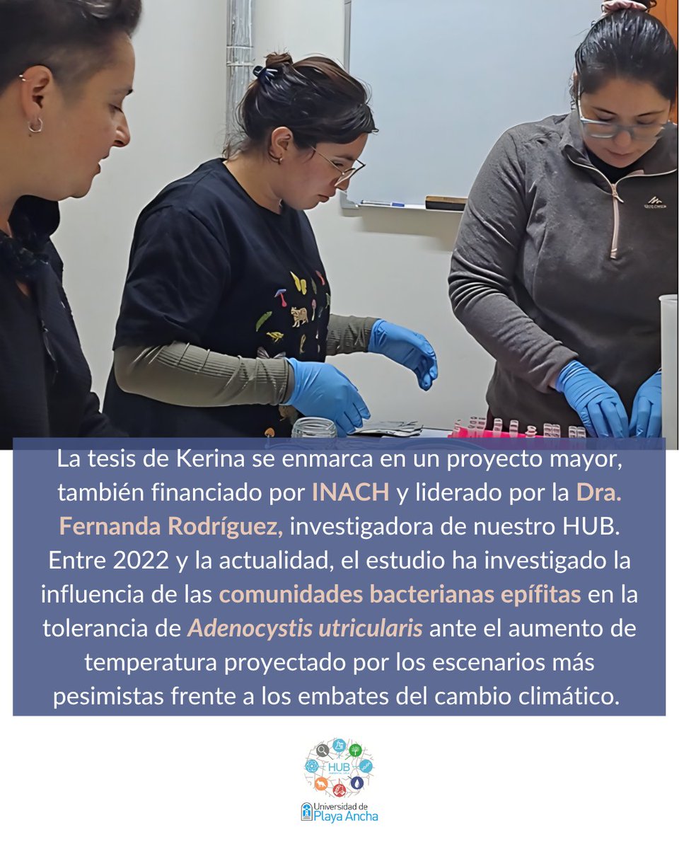 HUB Ambiental UPLA tweet media