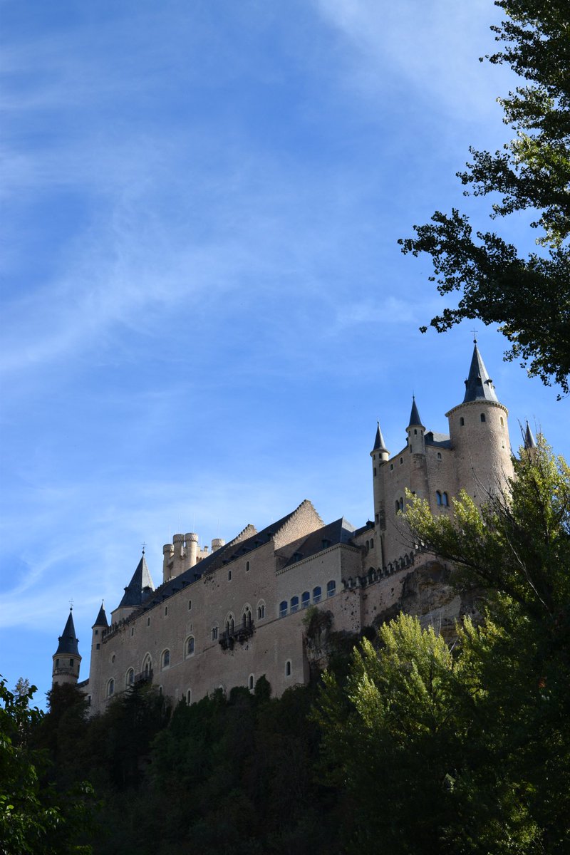 Sam Turner tweet media