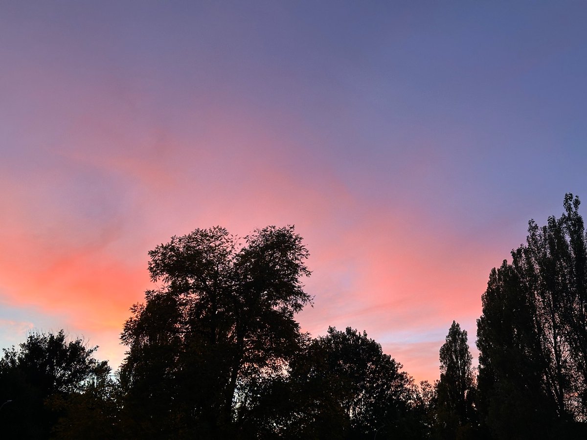 AdelePeabody's tweet image. Not much #writing today. I have been reading.

Photo of the day: sunset.