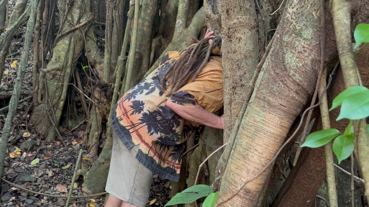 DaltonRoss's tweet photo. Psst… I followed Matt around on an extended (and ultimately unsuccessful) idol hunt on day 2 of #Survivor49. Dude was getting after it! https://t.co/SmBGdNCevm