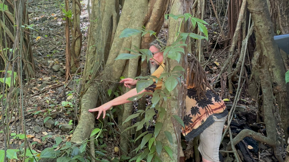 DaltonRoss's tweet photo. Psst… I followed Matt around on an extended (and ultimately unsuccessful) idol hunt on day 2 of #Survivor49. Dude was getting after it! https://t.co/SmBGdNCevm