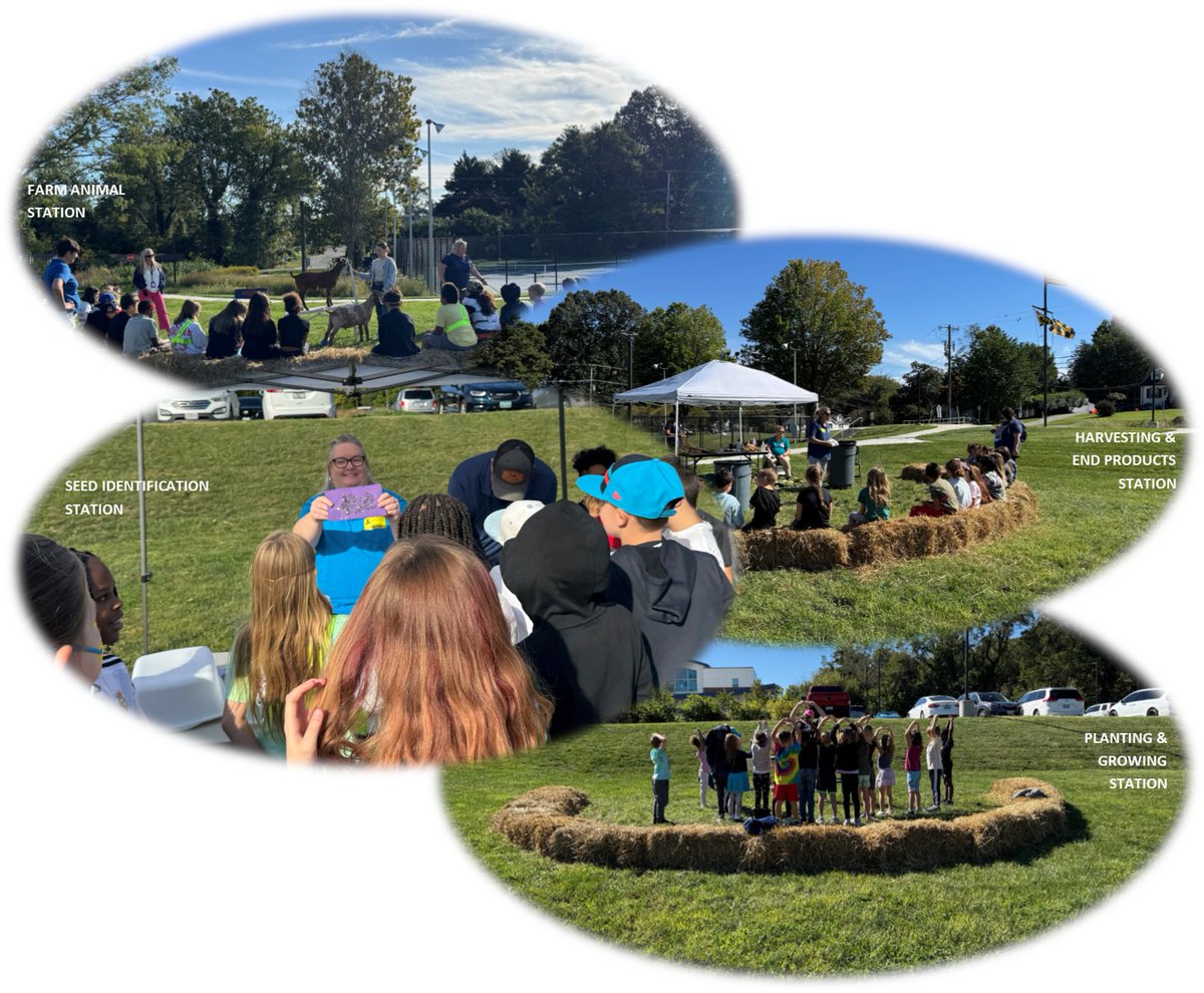 Thanks to all who helped ensure our CCPS Home Grown Week Celebration was a success!  Schools across the county served tasty local items to students with Beach Elementary hosting our special kickoff event!
<a href="/calvertnet/">Calvertnet</a>