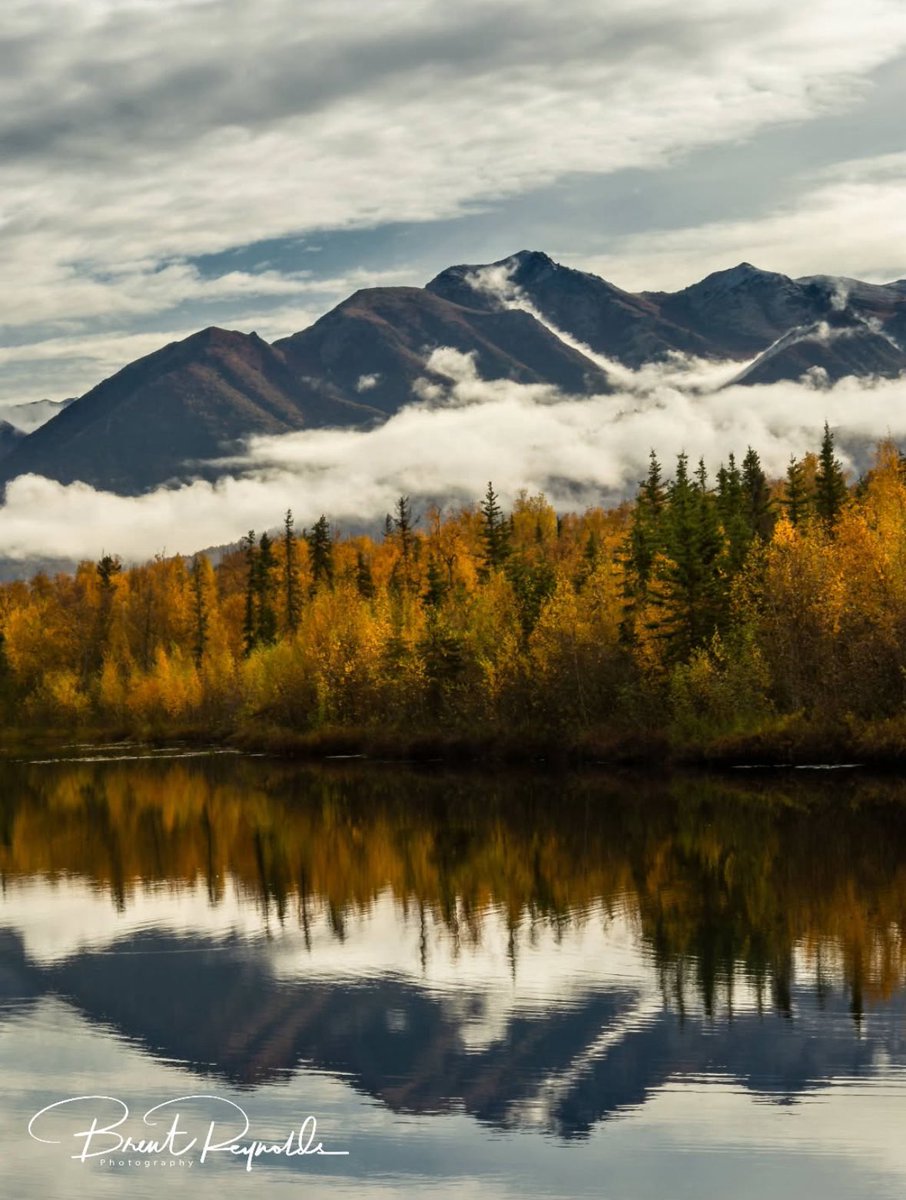 SharingAlaska's tweet photo. Wishing fall season latest longer 😍

📸 by Brent Reynolds

📲 Follow for more Alaska content!

#Alaska #SharingAlaska #chugiak #chugachstatepark https://t.co/tJeNRFrRzw