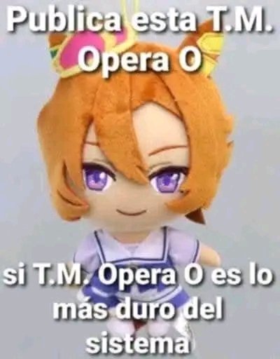 luis4rd0 (@luis4rd00) on Twitter photo 